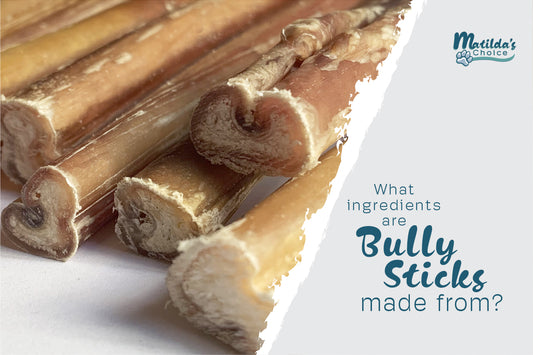 Bully Sticks are a natural dog chew made from beef pizzle and abundant in protein, amino acids and minerals, a great treat for your dog.
